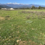 Terrain constructible de 902 m² à Prunelli di Fiumorbo, proche de la plage