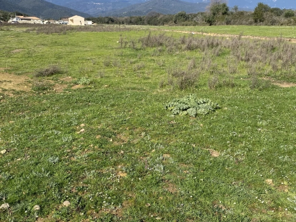 Terrain constructible de 902 m² à Prunelli di Fiumorbo, proche de la plage