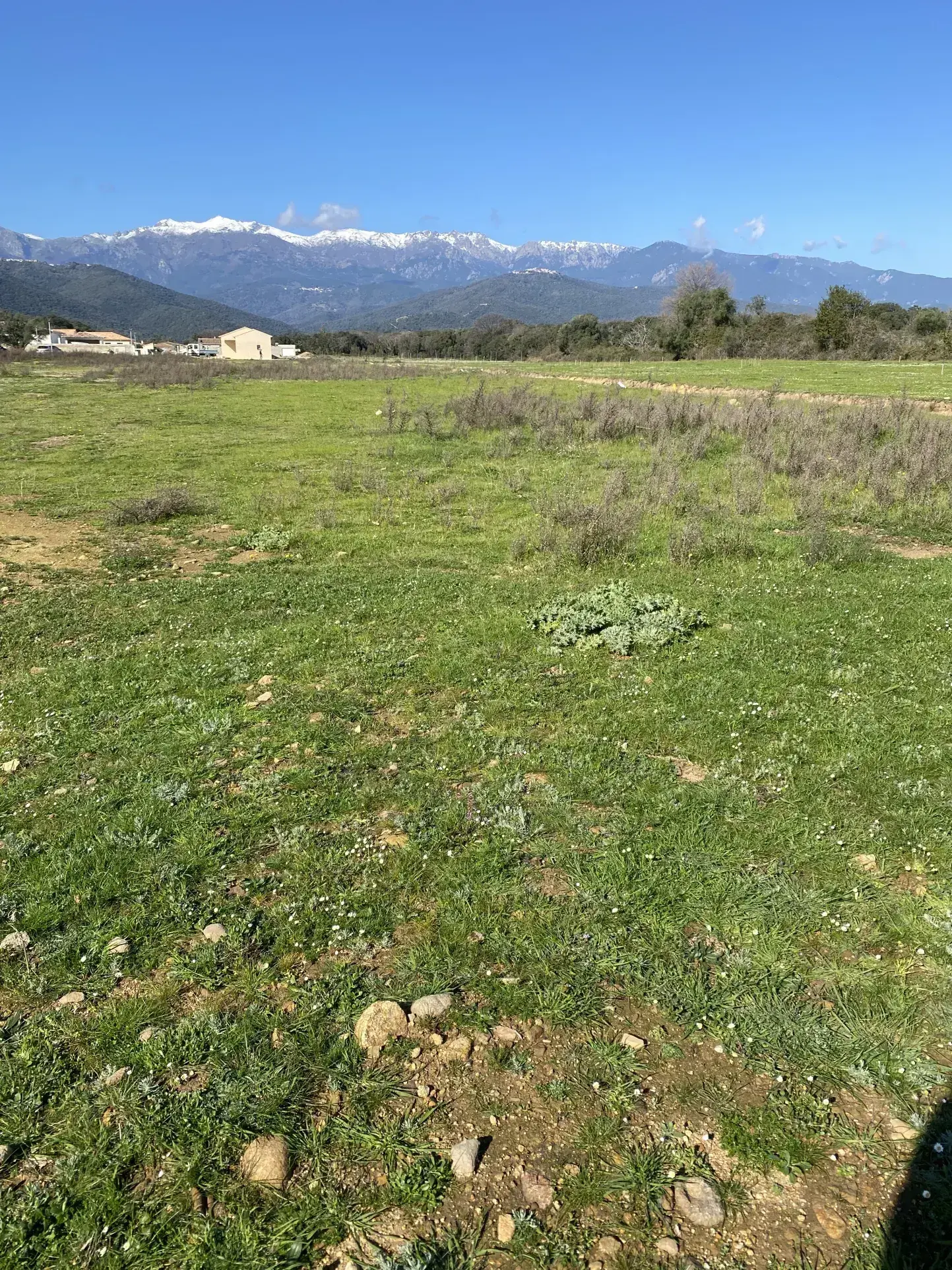 Terrain constructible de 902 m² à Prunelli di Fiumorbo, proche de la plage 