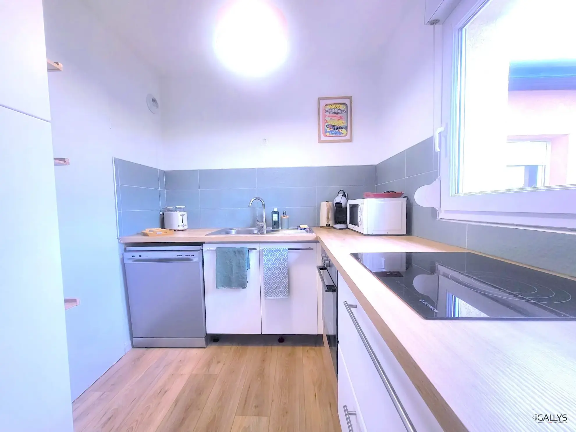 Appartement T2 rénové à Cugnaux - Lumineux et moderne avec parking 