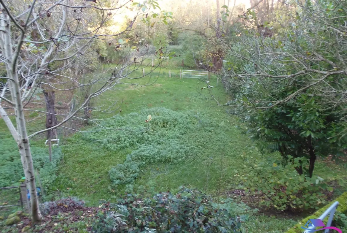 jardin Maison de village avec grand garage et espace professionnel à vendre près de Boussac et Montluçon 
