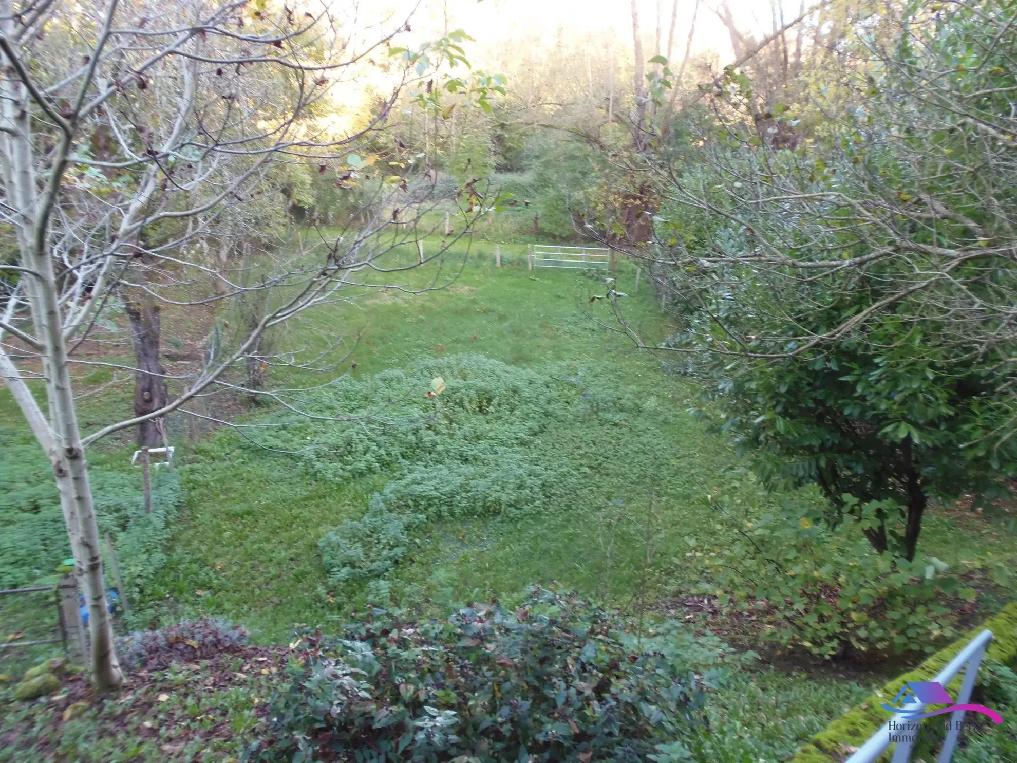 jardin Maison de village avec grand garage et espace professionnel à vendre près de Boussac et Montluçon 