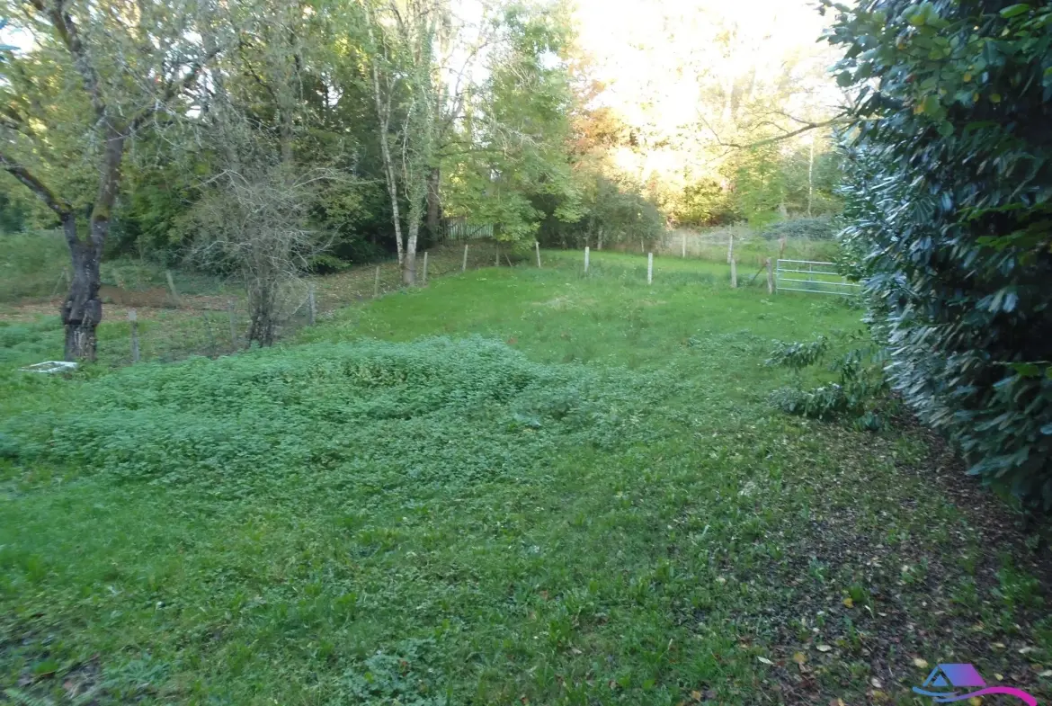 jardin Maison de village avec grand garage et espace professionnel à vendre près de Boussac et Montluçon 