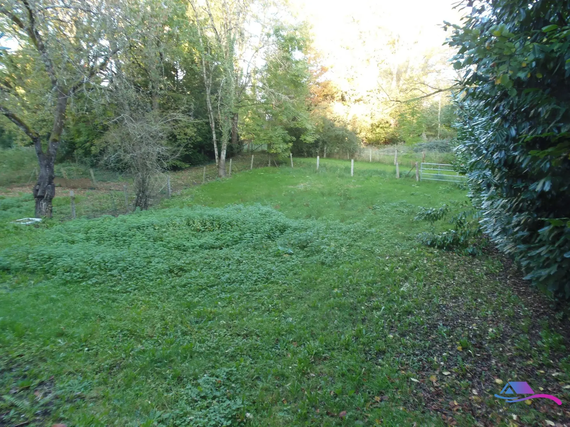 jardin Maison de village avec grand garage et espace professionnel à vendre près de Boussac et Montluçon 