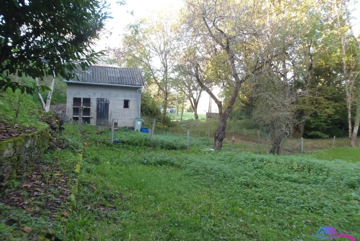 jardin Maison de village avec grand garage et espace professionnel à vendre près de Boussac et Montluçon 