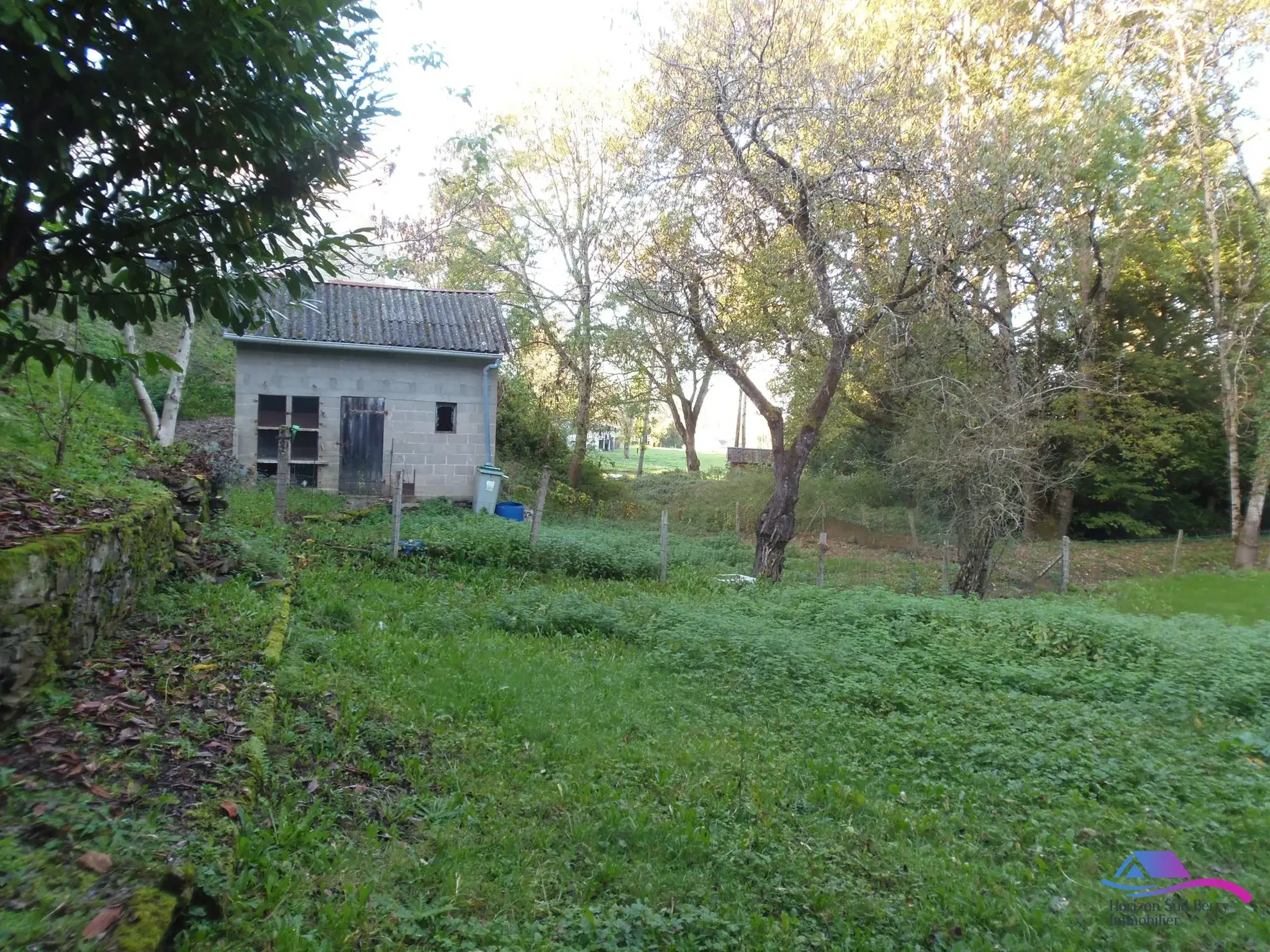 jardin Maison de village avec grand garage et espace professionnel à vendre près de Boussac et Montluçon 