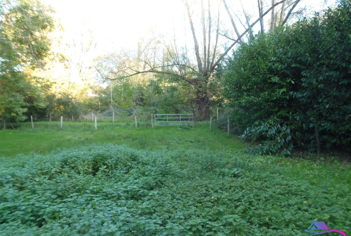 jardin Maison de village avec grand garage et espace professionnel à vendre près de Boussac et Montluçon 