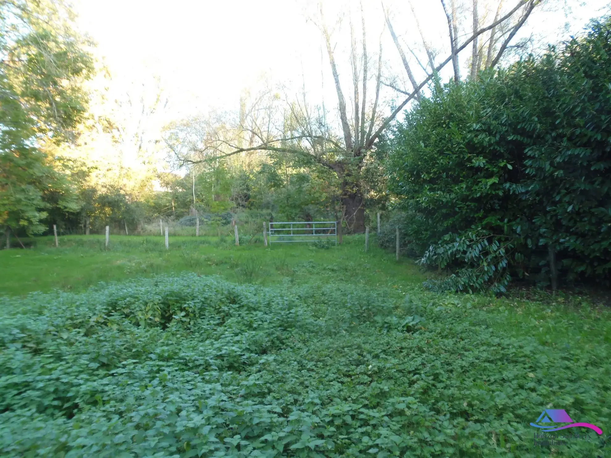 jardin Maison de village avec grand garage et espace professionnel à vendre près de Boussac et Montluçon 