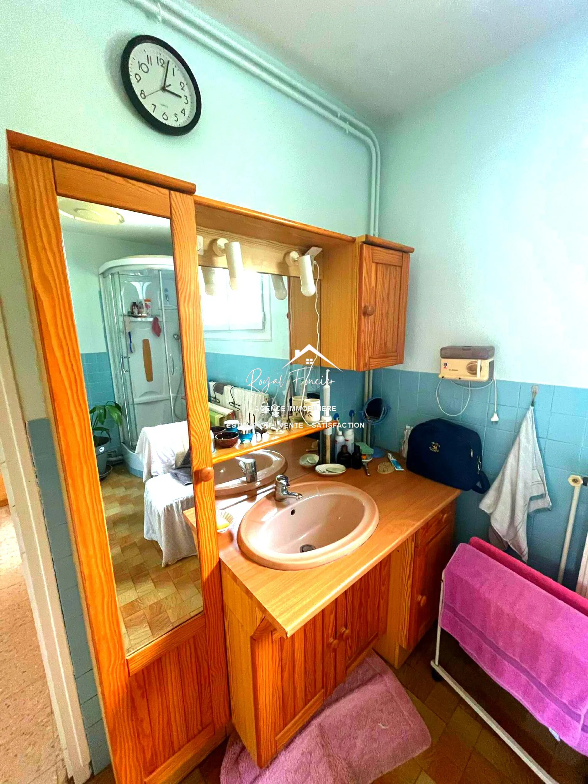 salle d'eau Charmante maison de campagne de 114 m² avec jardin à La Guerche 37350 