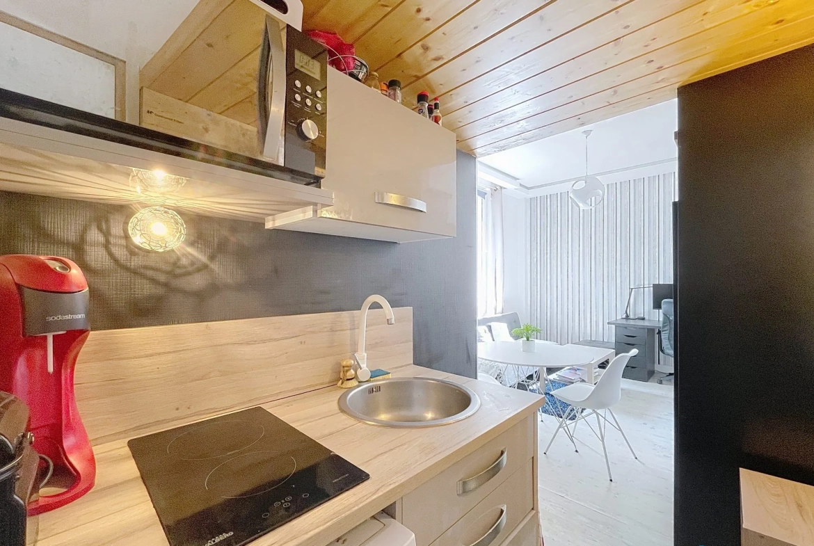 Studio lumineux de 21m² à Villeurbanne, idéal pour étudiant 