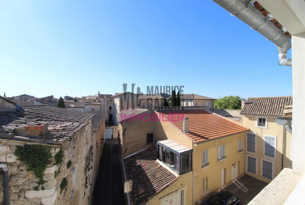Appartement rénové à vendre avec vue exceptionnelle à L'Isle-sur-la-Sorgue 