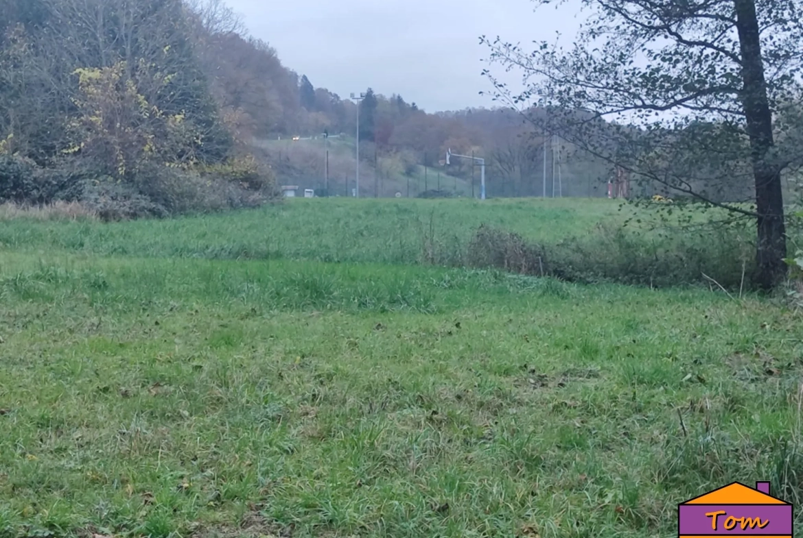 Terrain constructible de 1350 m² à Walschbronn avec plan d’eau 