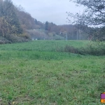 Terrain constructible de 1350 m² à Walschbronn avec plan d’eau