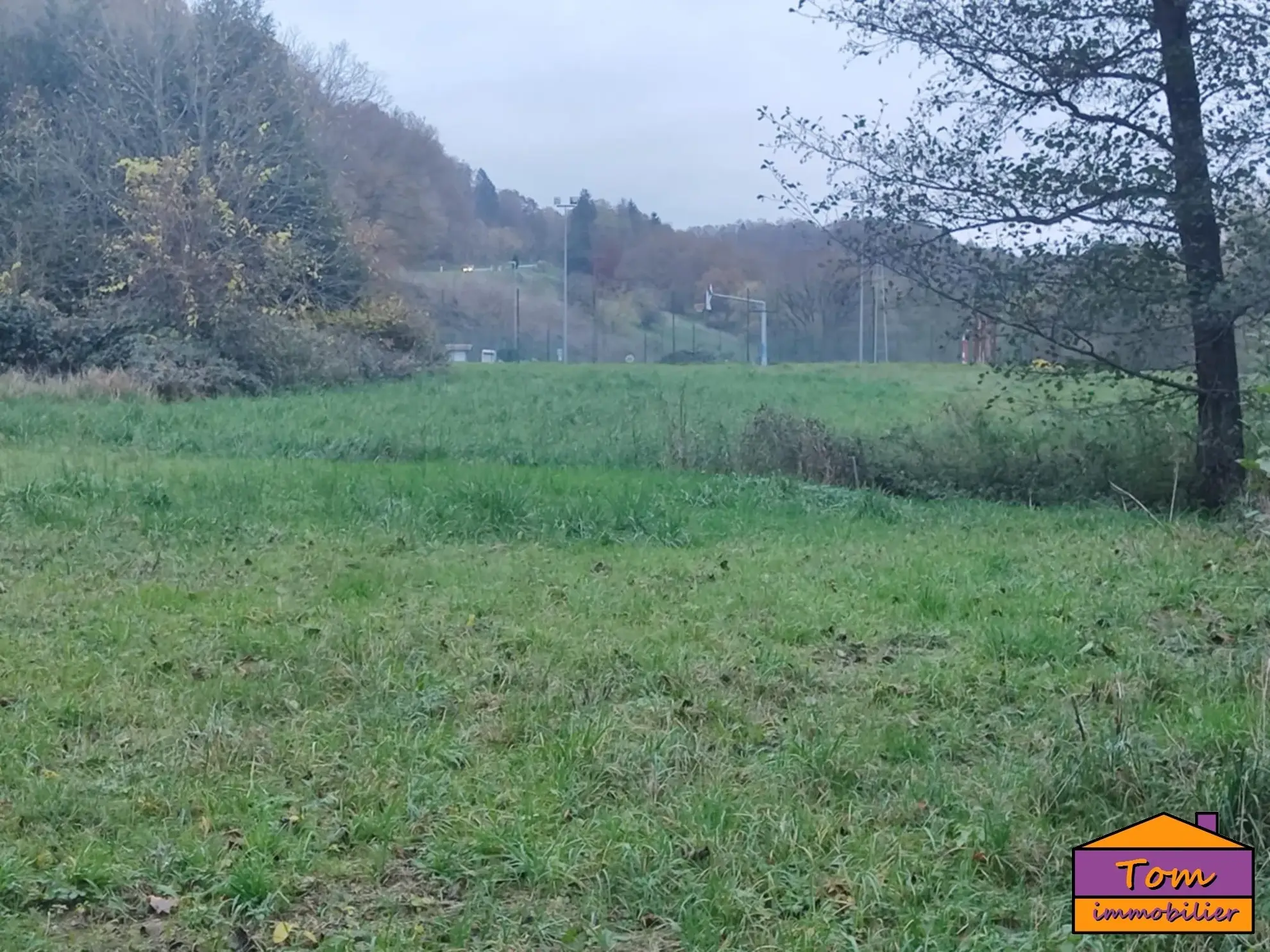 Terrain constructible de 1350 m² à Walschbronn avec plan d’eau 