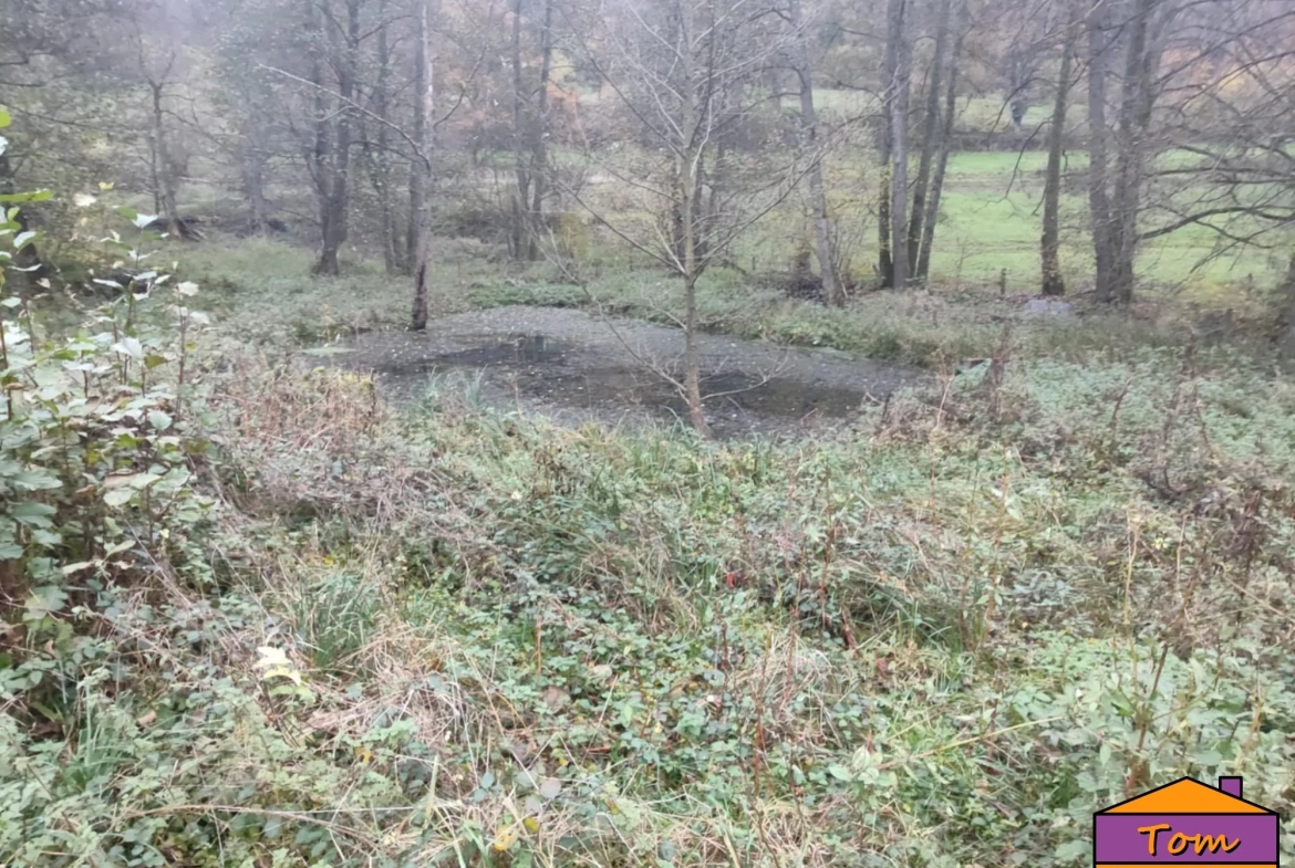 Terrain constructible de 1350 m² à Walschbronn avec plan d’eau 