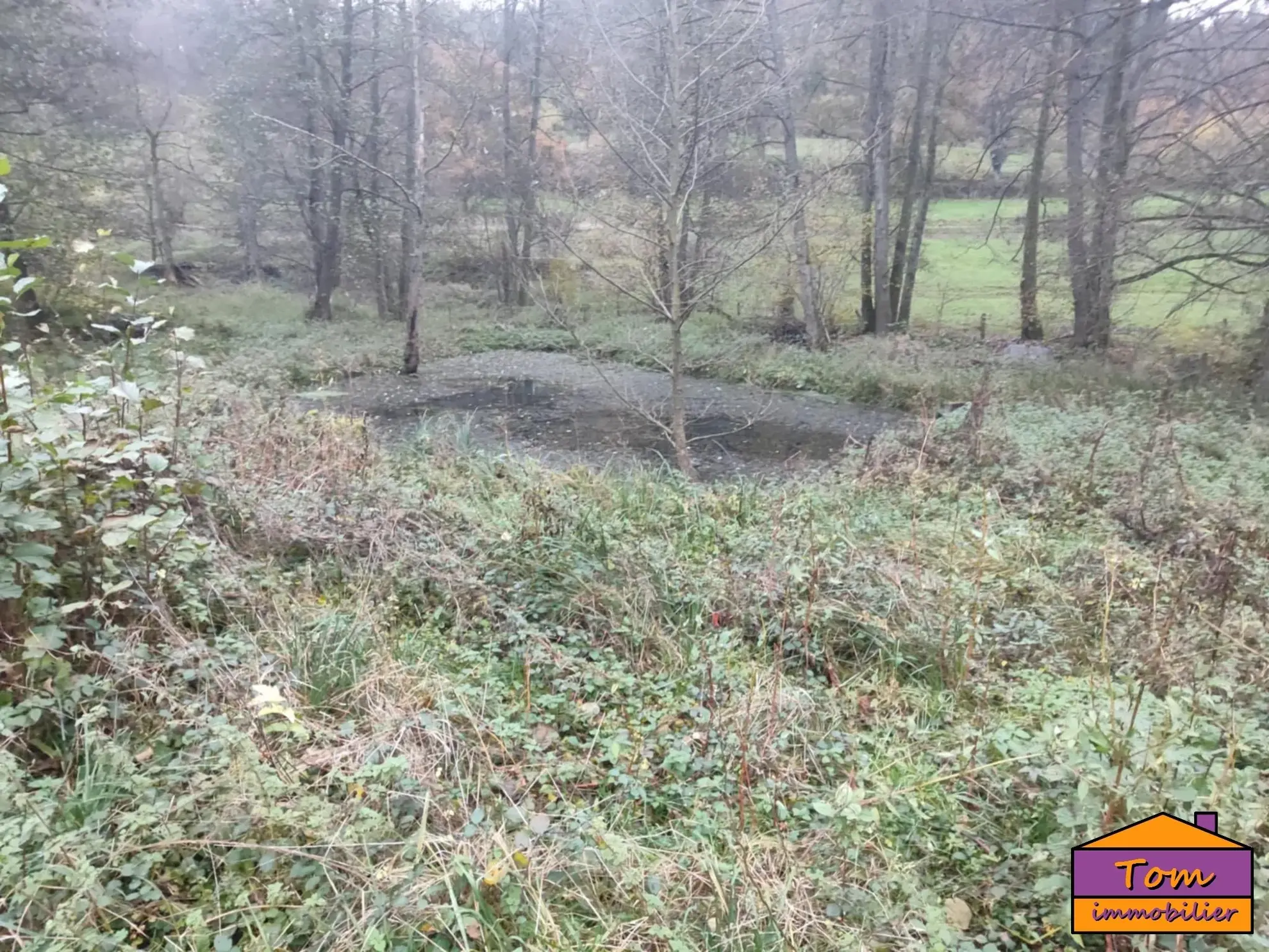 Terrain constructible de 1350 m² à Walschbronn avec plan d’eau 