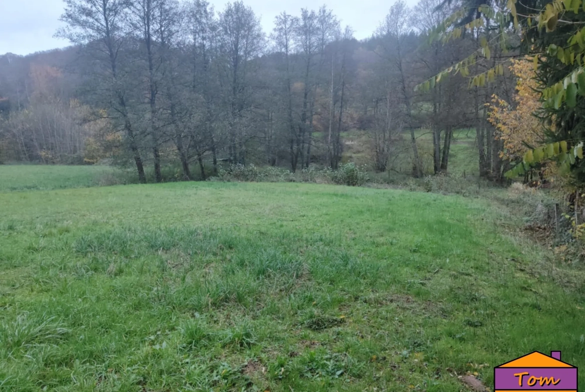 Terrain constructible de 1350 m² à Walschbronn avec plan d’eau 