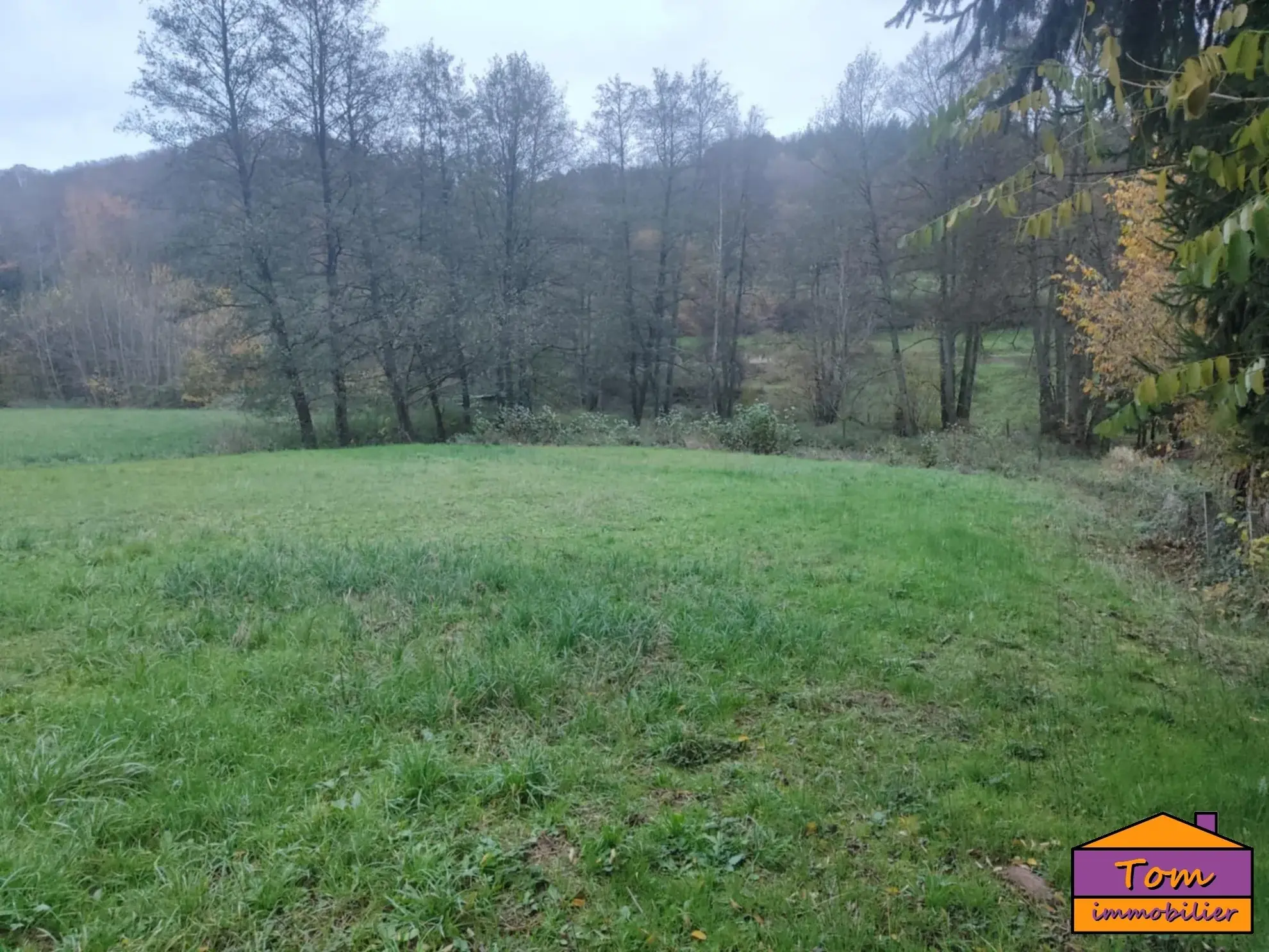 Terrain constructible de 1350 m² à Walschbronn avec plan d’eau 