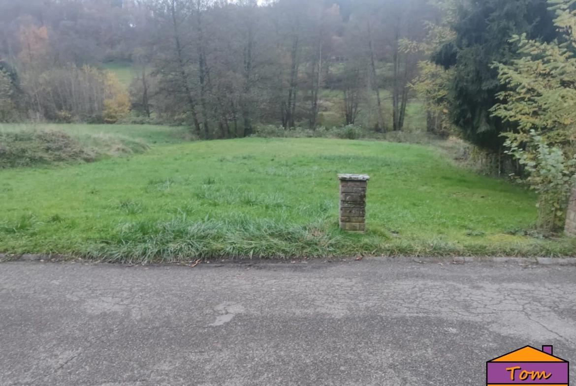 Terrain constructible de 1350 m² à Walschbronn avec plan d’eau 