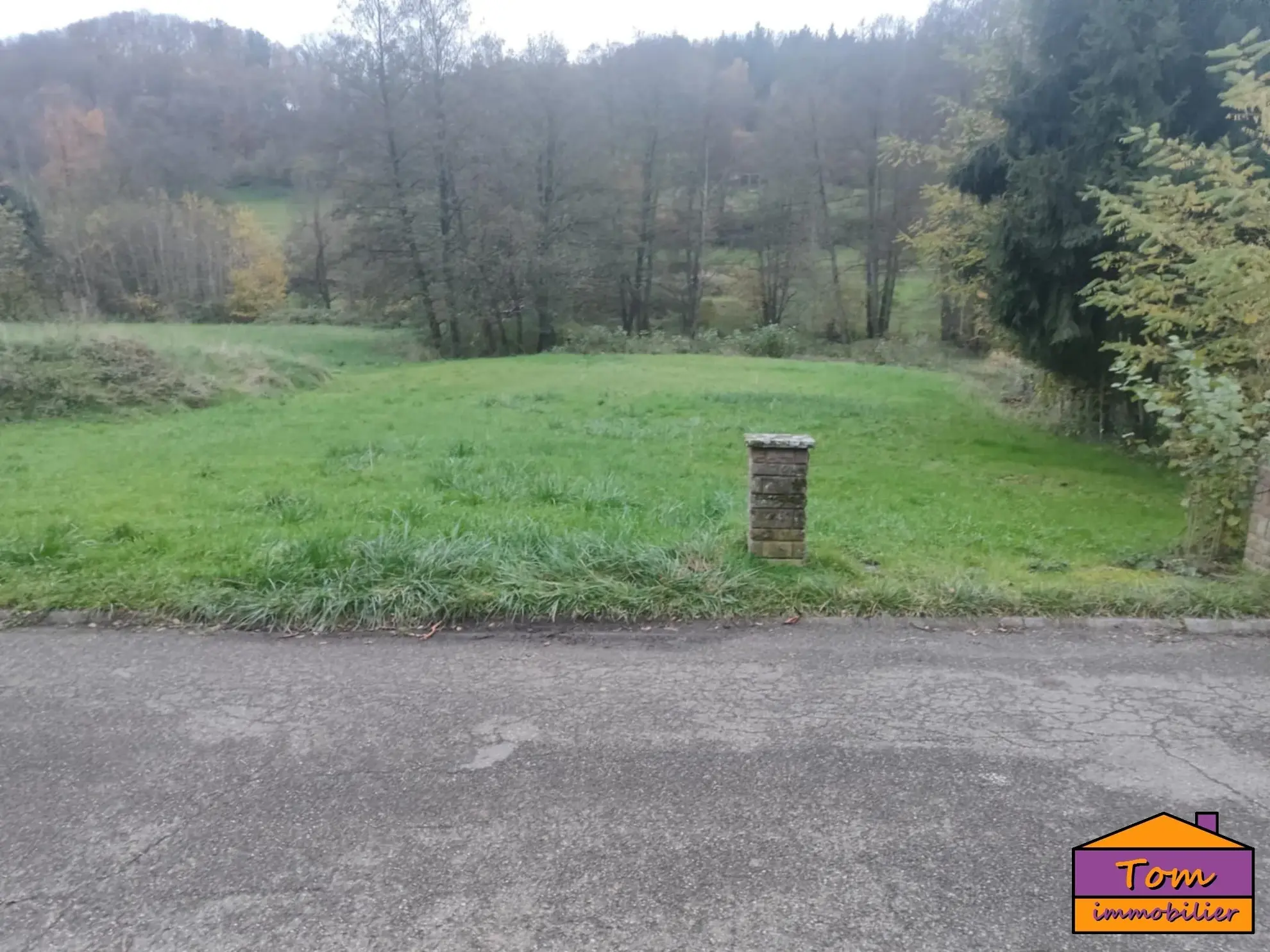 Terrain constructible de 1350 m² à Walschbronn avec plan d’eau 