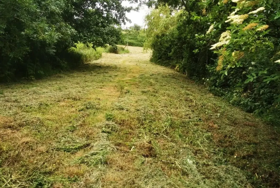 Magnifique terrain de loisir avec étang à Talmont-Saint-Hilaire 