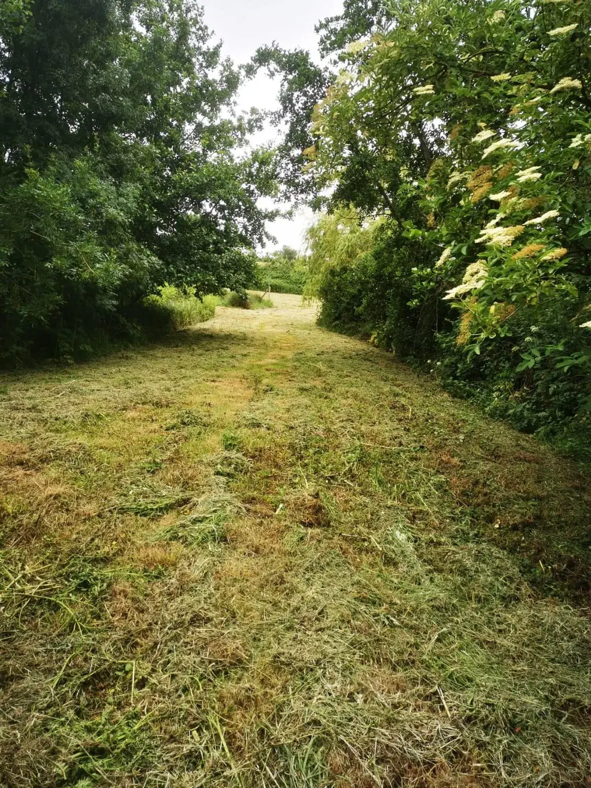 Magnifique terrain de loisir avec étang à Talmont-Saint-Hilaire 