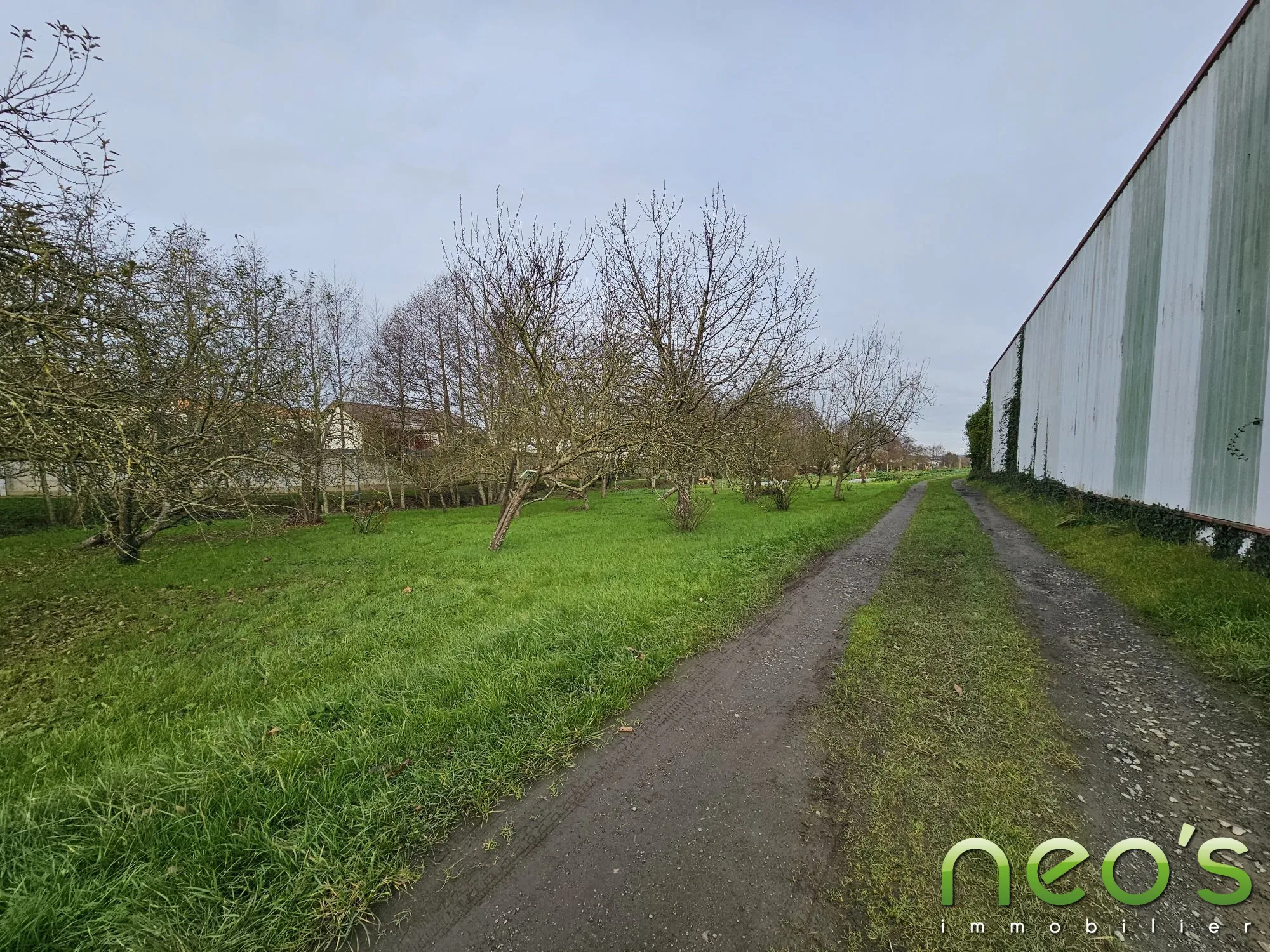 Local professionnel à vendre à Saint-Christophe-du-Bois de 314m² 