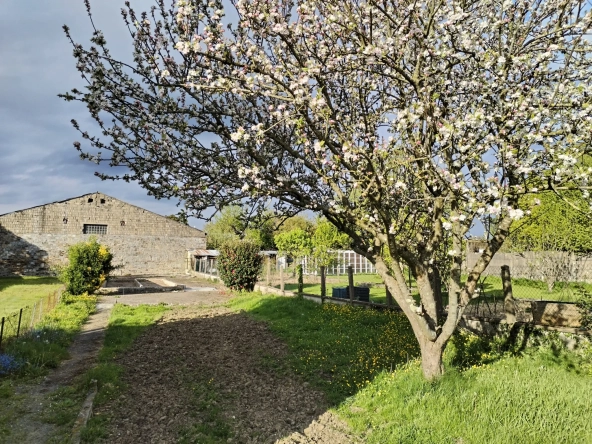 Terrain constructible de 526 m² à Lécousse, proche écoles et commerces