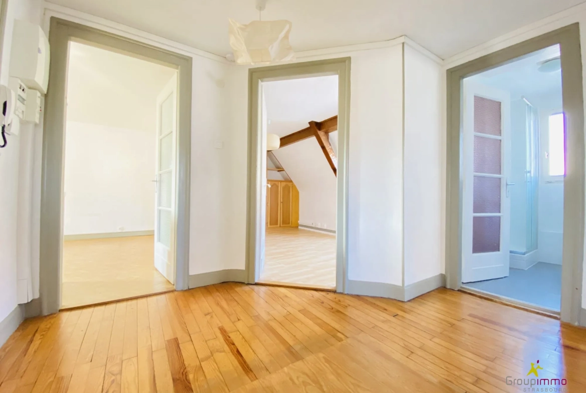 Bel appartement lumineux en dernier étage à Strasbourg Neudorf 