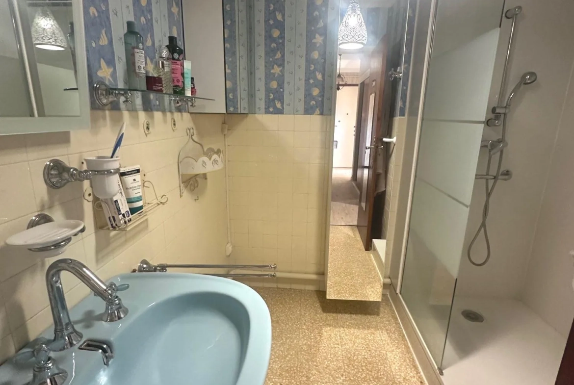 Salle d'eau Appartement T3 lumineux à vendre à Beziers avec garage et cave 