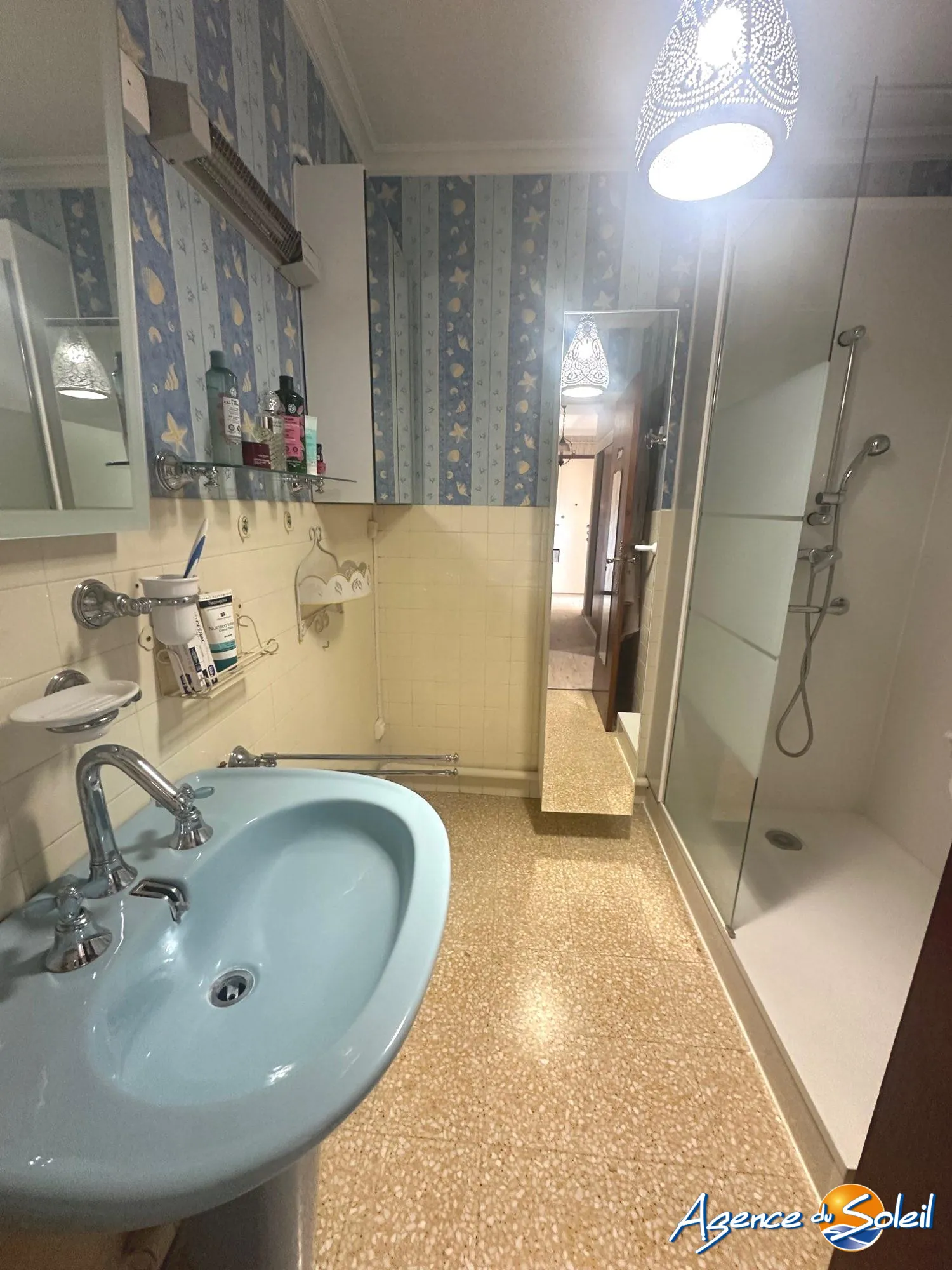 Salle d'eau Appartement T3 lumineux à vendre à Beziers avec garage et cave 