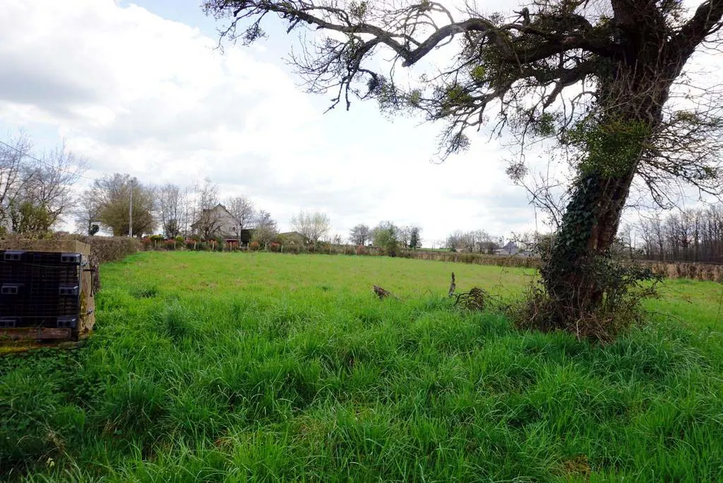 Terrain constructible de 2 347 m² proche de Paray le Monial 