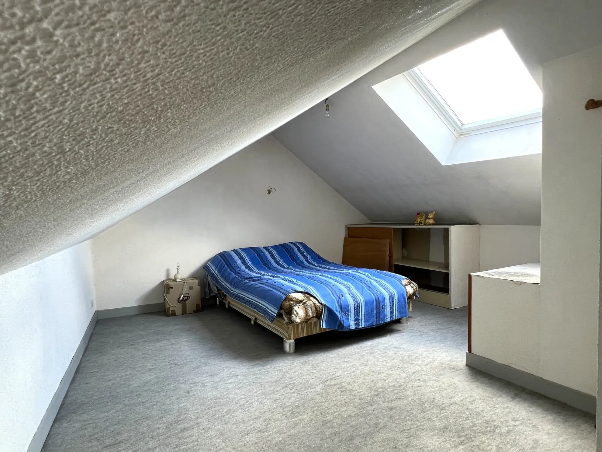 Charmante maison à proximité du centre-ville de Châtellerault avec terrain et dépendance 