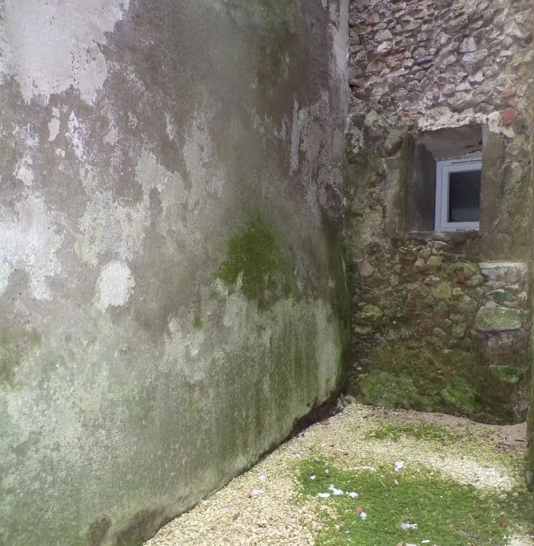 Maison en pierre avec appartement et vue sur le Canigou à Saint Laurent de Cerdans 