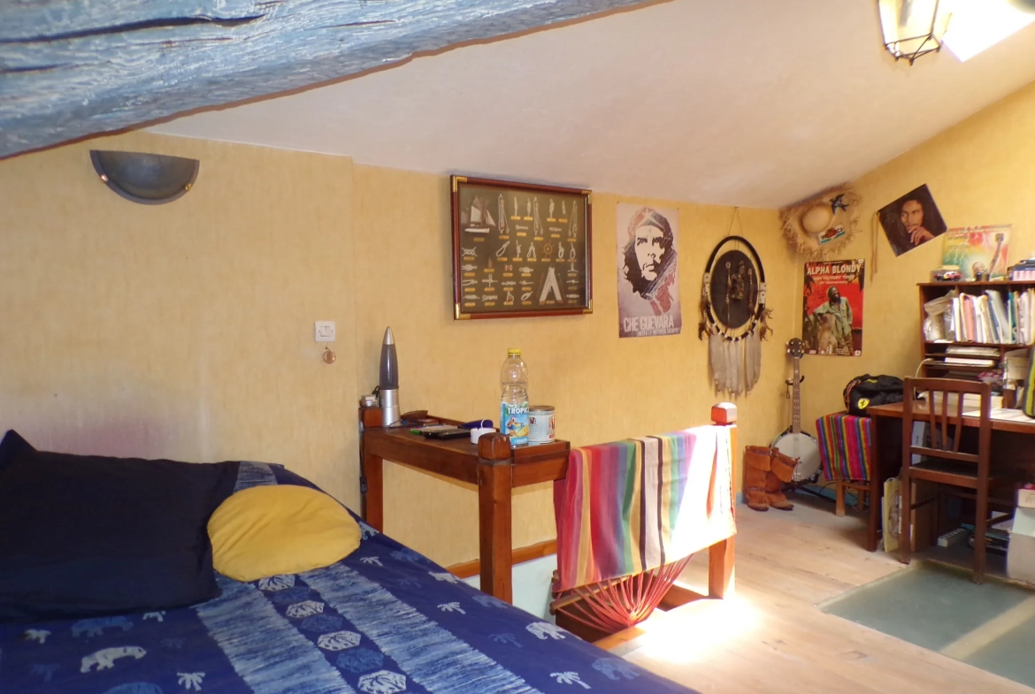 Maison en pierre avec appartement et vue sur le Canigou à Saint Laurent de Cerdans 