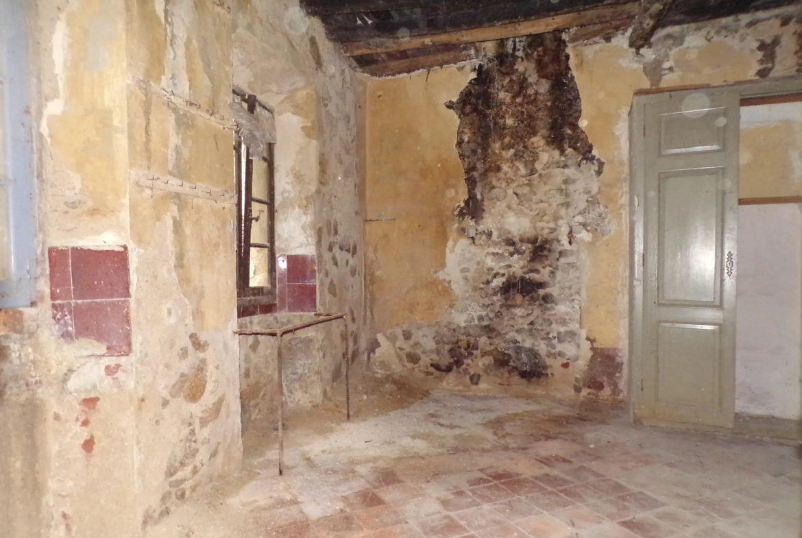Maison en pierre avec appartement et vue sur le Canigou à Saint Laurent de Cerdans 