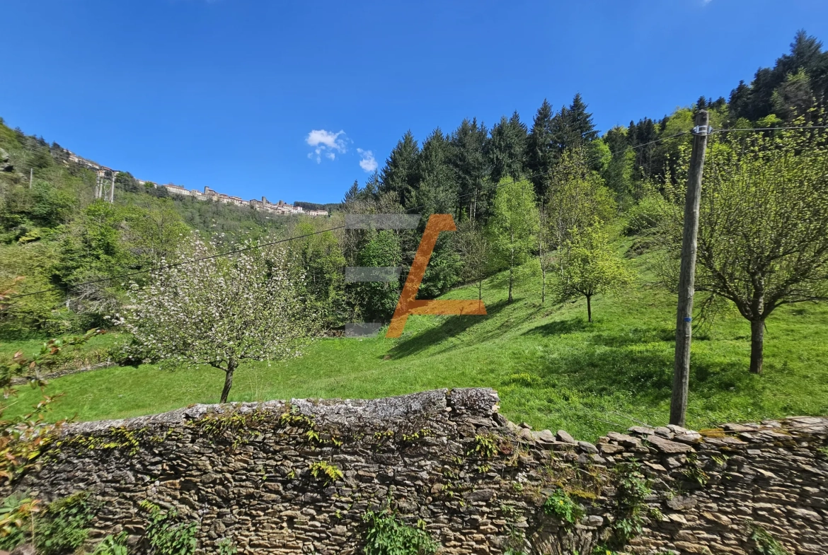 Belle maison de 180 m² avec grand terrain dans le Pilat 