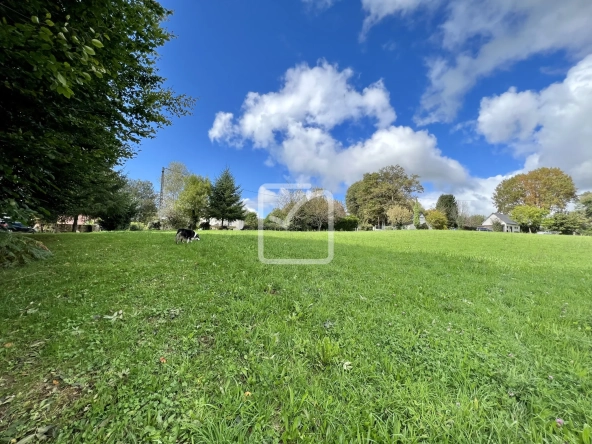 Terrain constructible de 1501 m² à Sainte-Féréole, proche Brive
