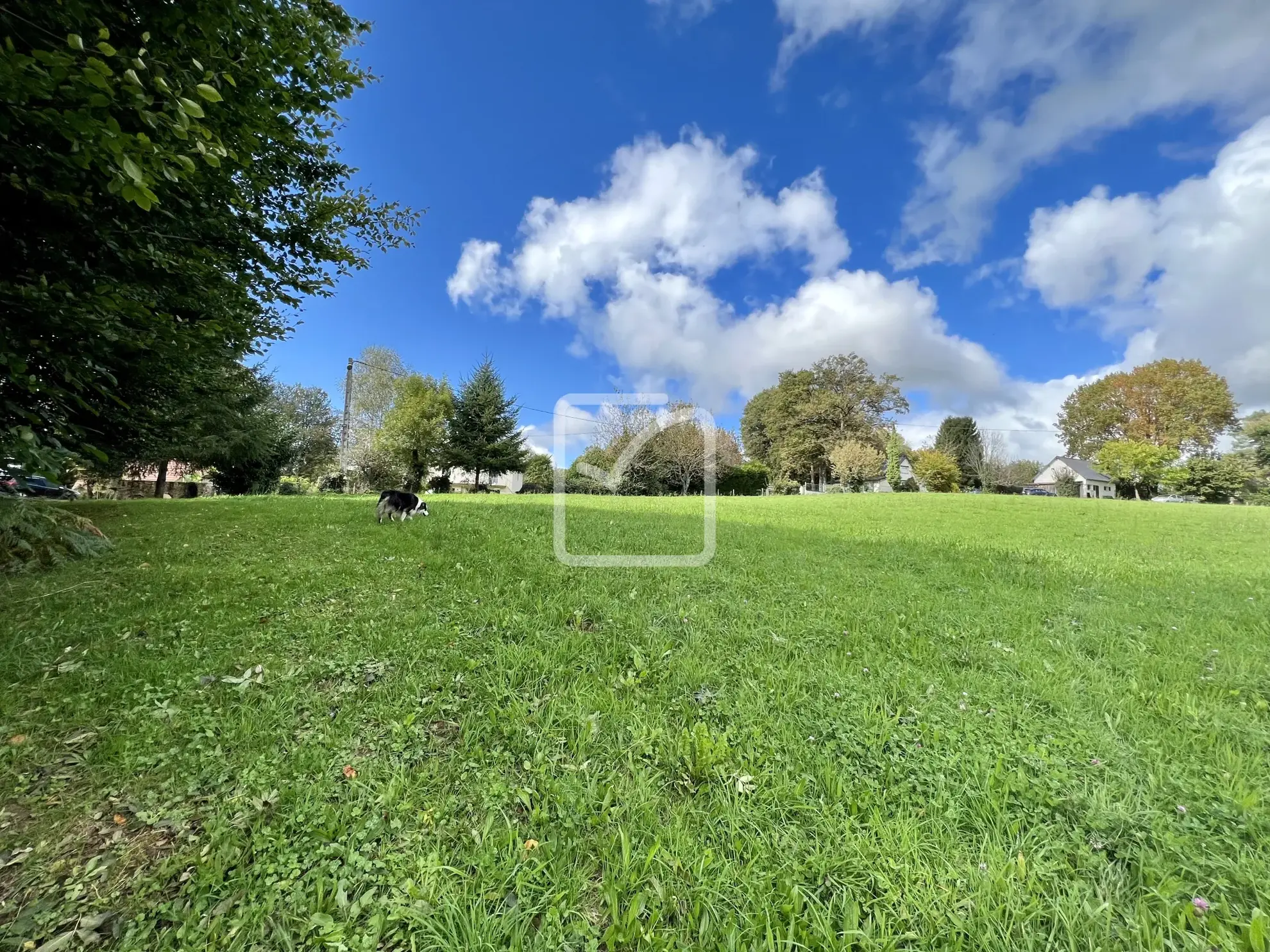Terrain constructible de 1501 m² à Sainte-Féréole, proche Brive 