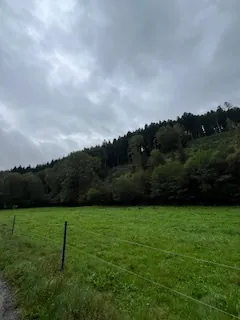 A vendre parcelles dispersées dans le village de Lusse - 157,86 ares de prés et futaies 