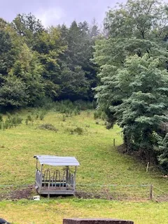A vendre parcelles dispersées dans le village de Lusse - 157,86 ares de prés et futaies 