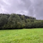 A vendre parcelles dispersées dans le village de Lusse - 157,86 ares de prés et futaies
