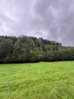 A vendre parcelles dispersées dans le village de Lusse - 157,86 ares de prés et futaies 