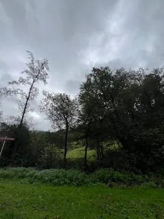 A vendre parcelles dispersées dans le village de Lusse - 157,86 ares de prés et futaies 