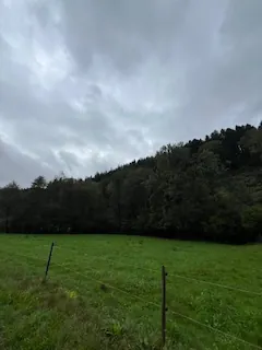 A vendre parcelles dispersées dans le village de Lusse - 157,86 ares de prés et futaies 