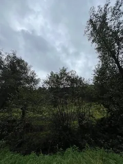 A vendre parcelles dispersées dans le village de Lusse - 157,86 ares de prés et futaies 