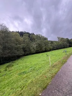 A vendre parcelles dispersées dans le village de Lusse - 157,86 ares de prés et futaies 
