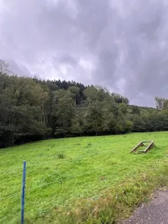 A vendre parcelles dispersées dans le village de Lusse - 157,86 ares de prés et futaies 