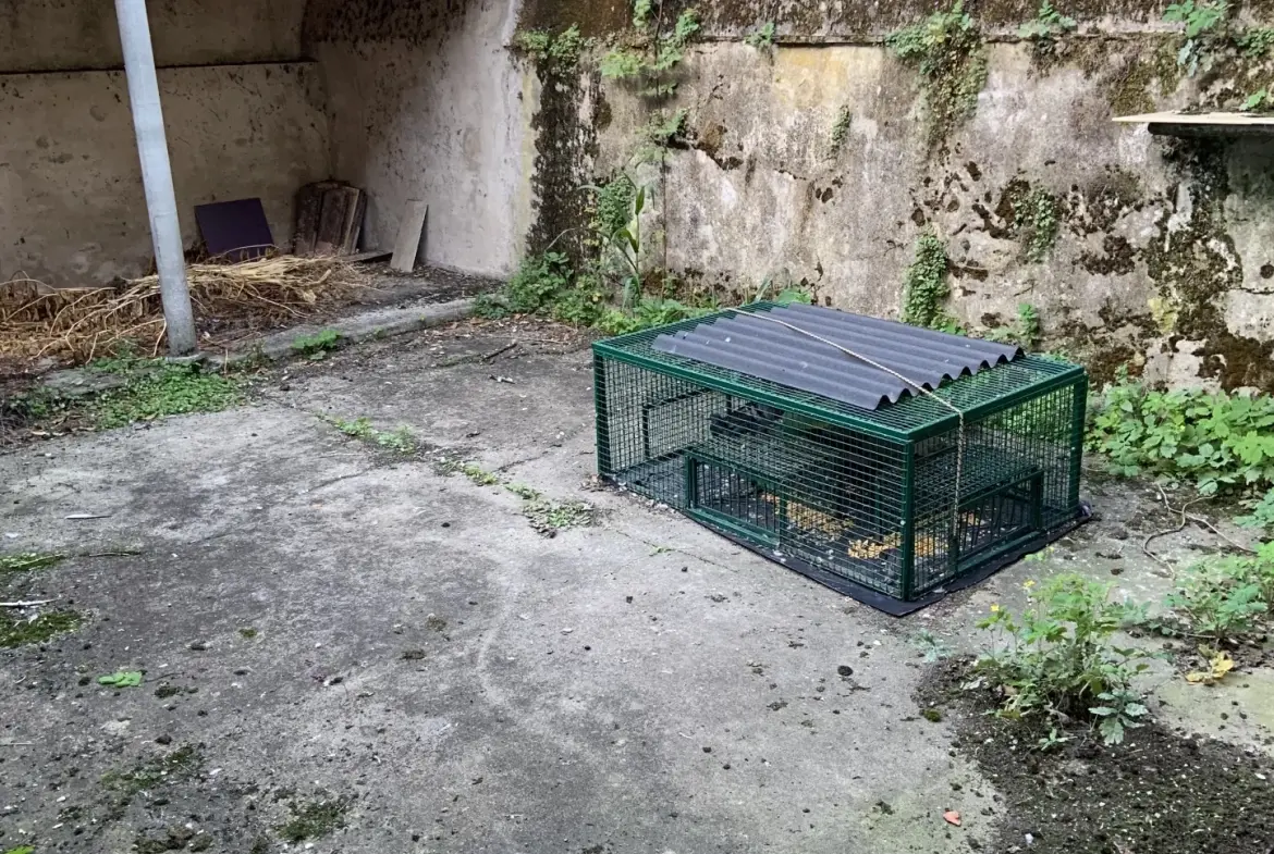 Immeuble d'exception au centre de Marmande - Opportunité à saisir 