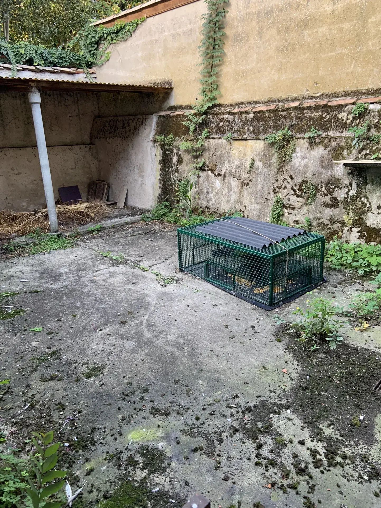 Immeuble d'exception au centre de Marmande - Opportunité à saisir 